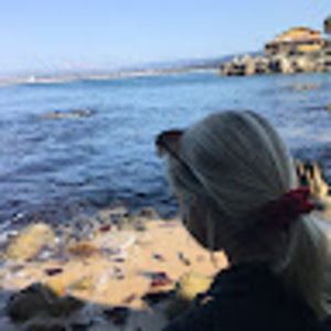 Meet your Posher, Allie